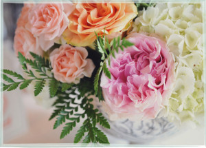 pageimage