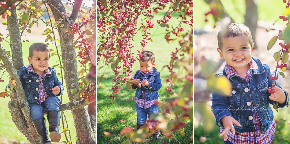 kalamazoo-kids-photographer-2