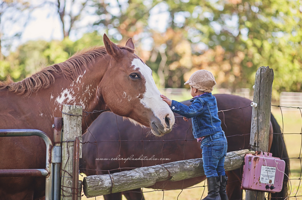 kid-horses-photography-session-2