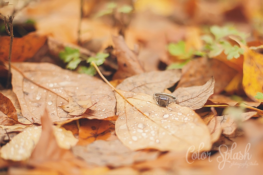 Color Splash Studio | Kalamazoo Fall Engagement Photos