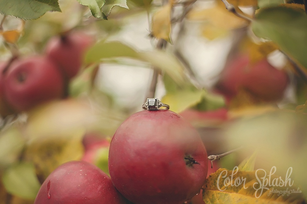 Color Splash Studio | Kalamazoo Fall Engagement Photos