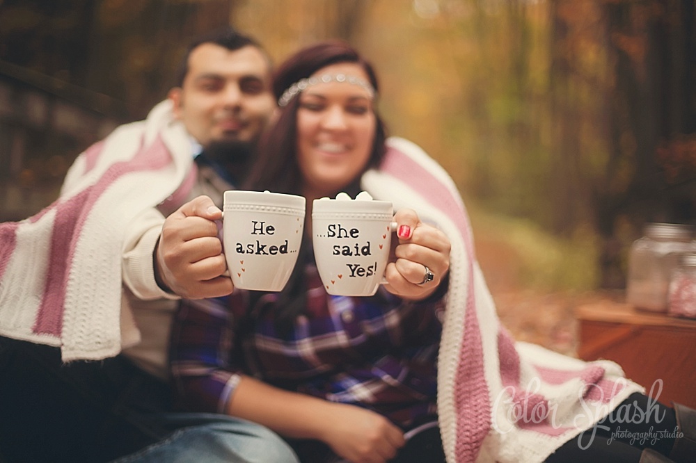 Color Splash Studio | Kalamazoo Fall Engagement Photos