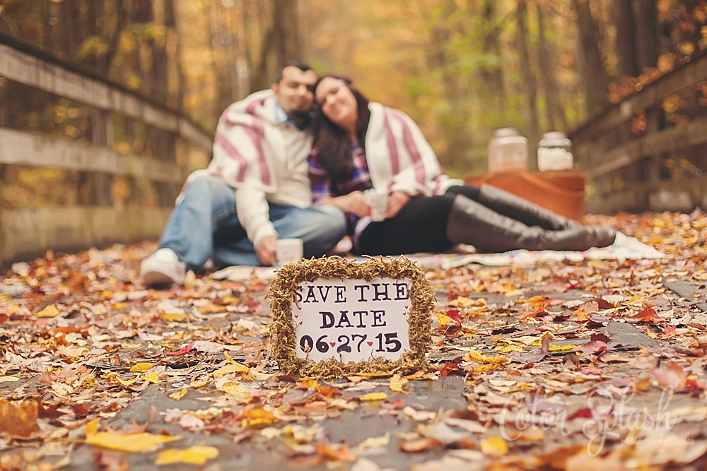 Color Splash Studio | Kalamazoo Fall Engagement Photos