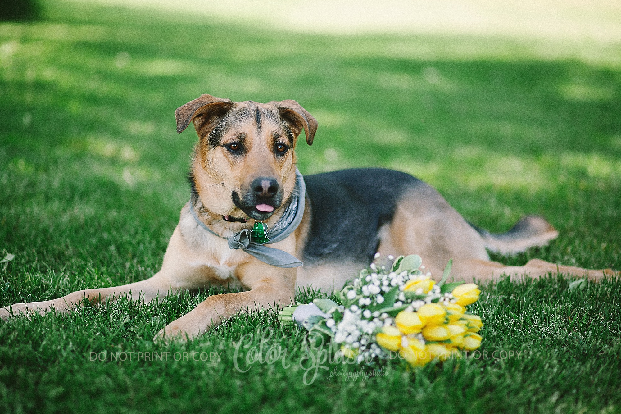 kalamazoo wedding photographer_0277