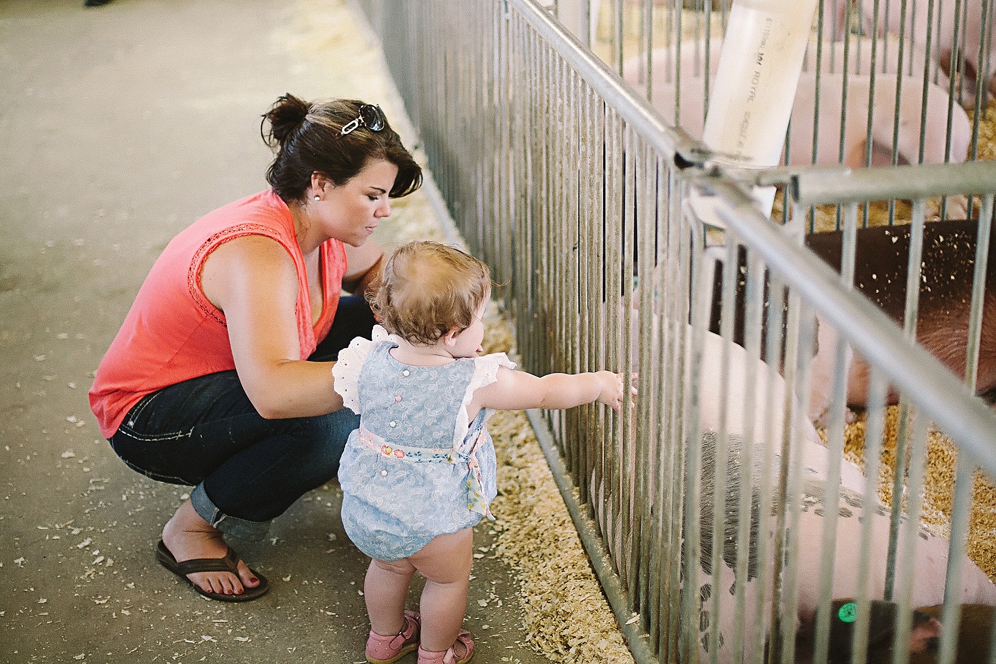 vanburen-county-fair_0510