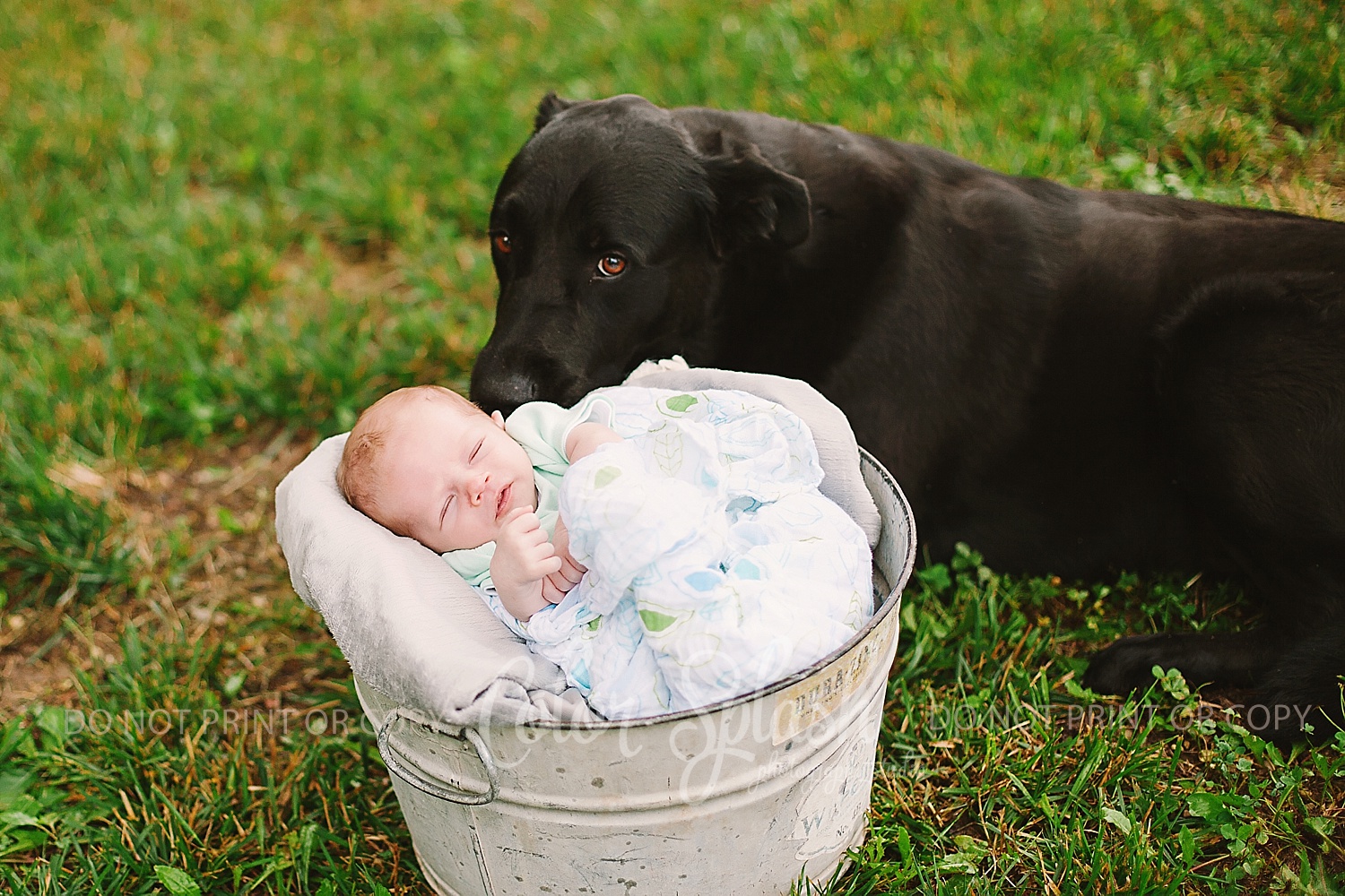 allegan-newborn-photography_0963