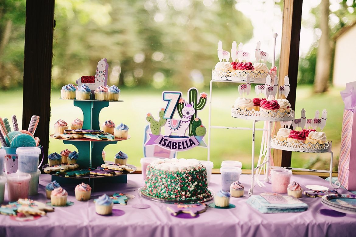 llama birthday party