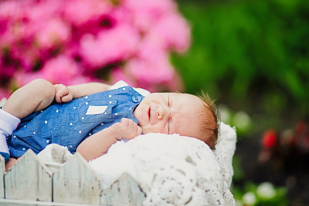 newborn photo session 